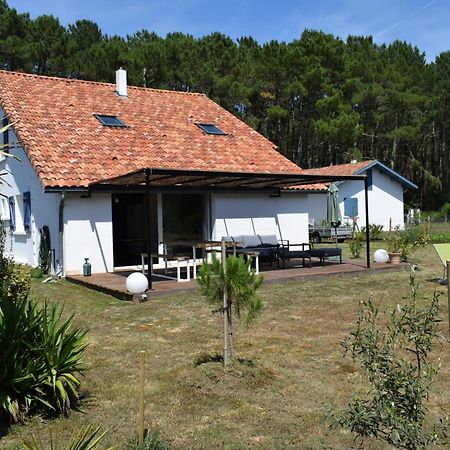 Evasion Cotiere Tranquillite Entre Foret Et Ocean Vielle-Saint-Girons Luaran gambar