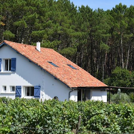 Evasion Cotiere Tranquillite Entre Foret Et Ocean Vielle-Saint-Girons Luaran gambar