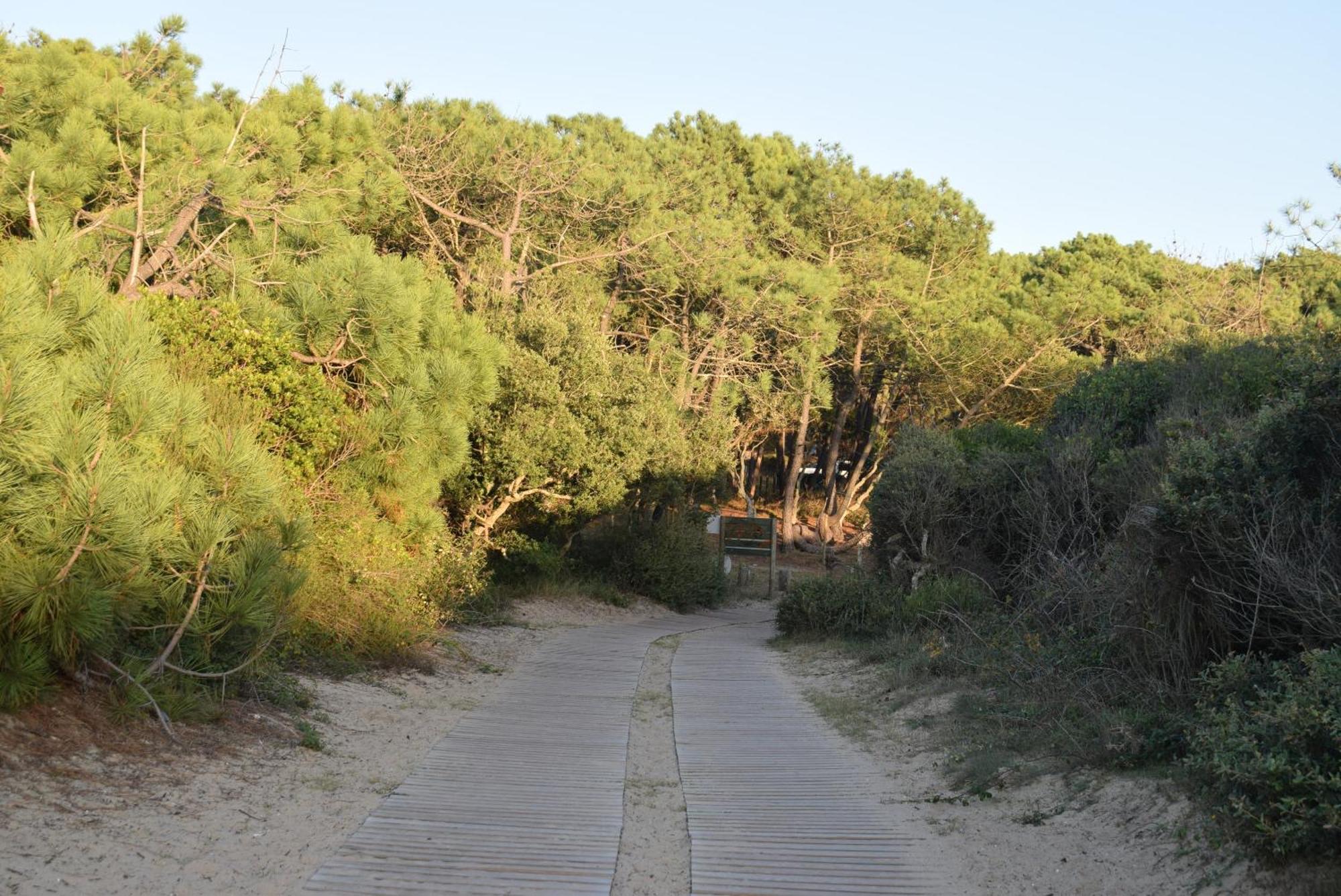 Evasion Cotiere Tranquillite Entre Foret Et Ocean Vielle-Saint-Girons Luaran gambar